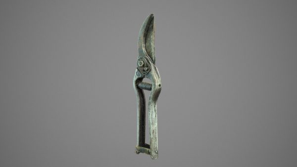 Old Pruner