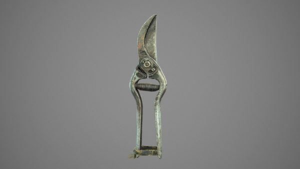 Old Pruner