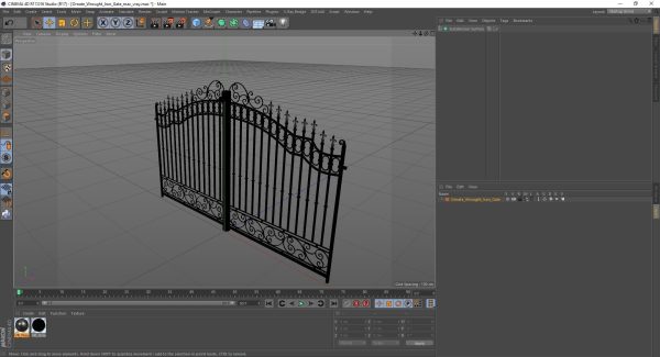 Ornate Wrought Iron Gate