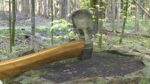 ORTAS AXE NO 10 GAME READY SHARP STEEL AXE