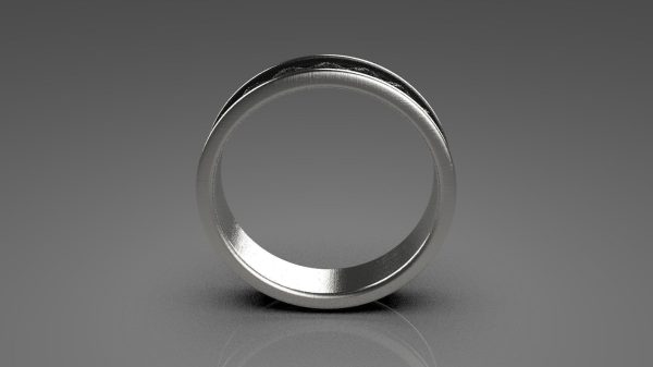 Oxidized Ring Model - 3