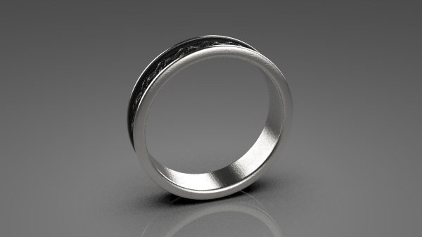 Oxidized Ring Model - 3