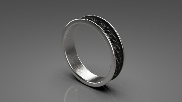 Oxidized Ring Model - 3