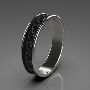 Oxidized Ring Model - 3