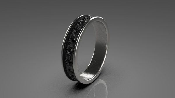 Oxidized Ring Model - 3