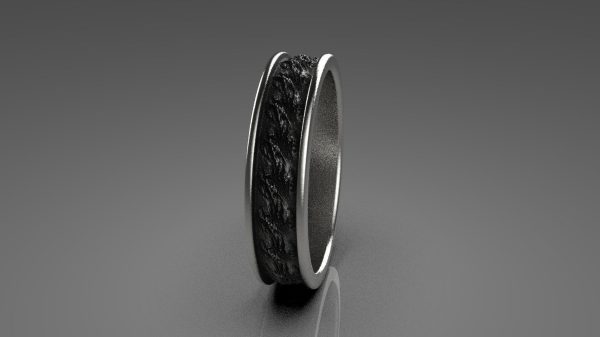 Oxidized Ring Model - 3