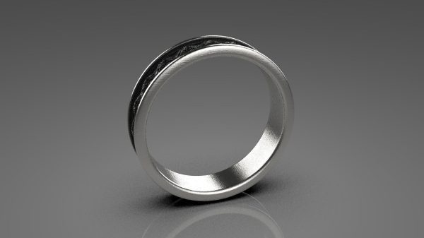 Oxidized Ring Model - 3