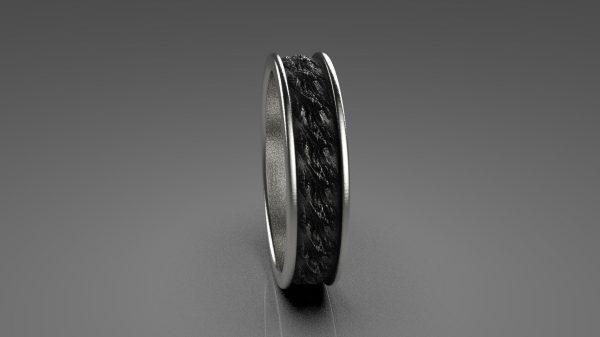Oxidized Ring Model - 3