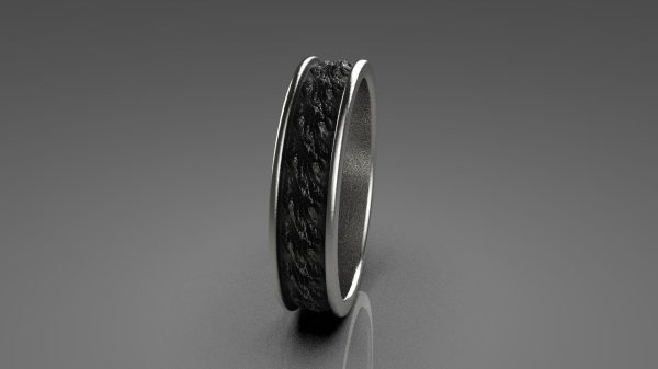 Oxidized Ring Model - 3