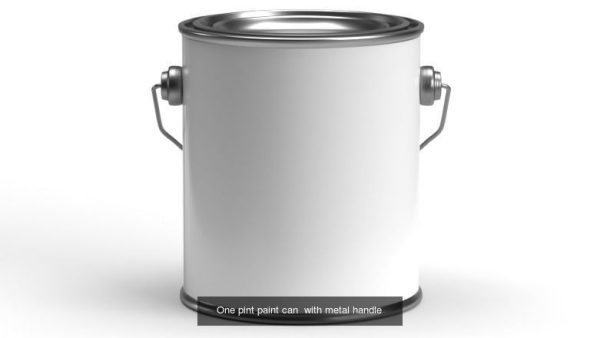 Paint cans with metal handle