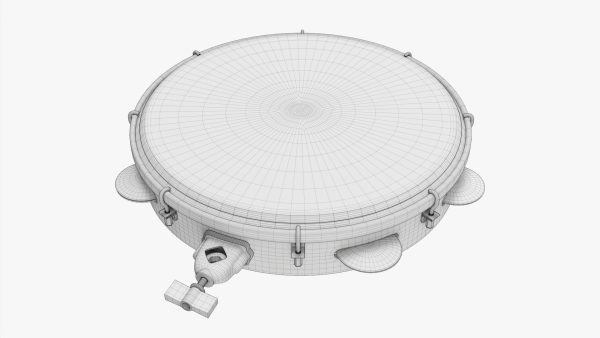 Pandeiro samba music instrument