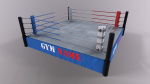 PBR Gym Fitness Equipment - Mega Pack