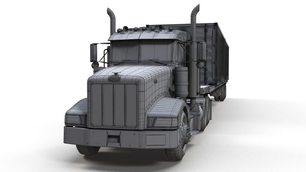Peterbilt 377 container truck