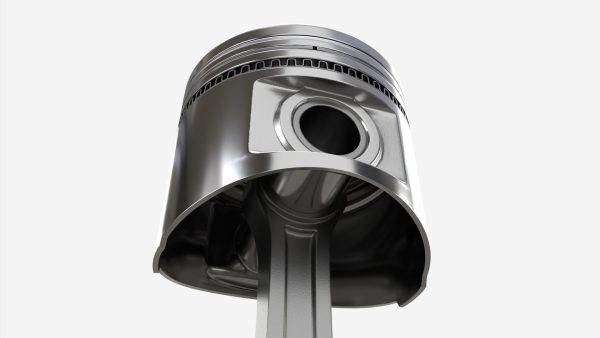 Piston with rod