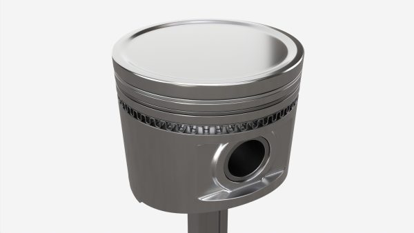 Piston with rod