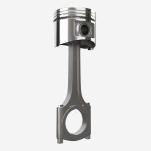 Piston with rod