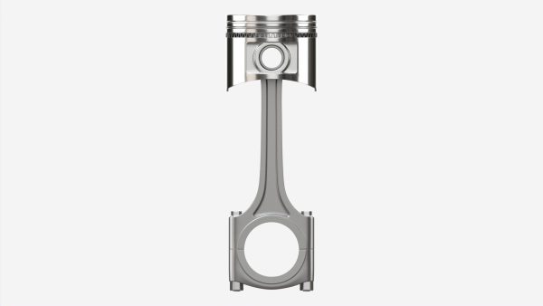 Piston with rod