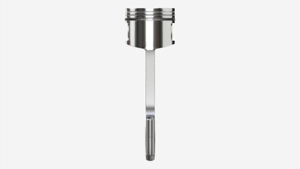 Piston with rod