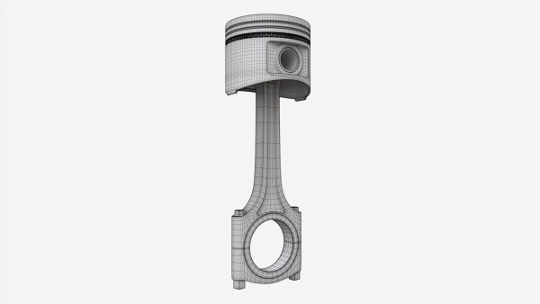 Piston with rod