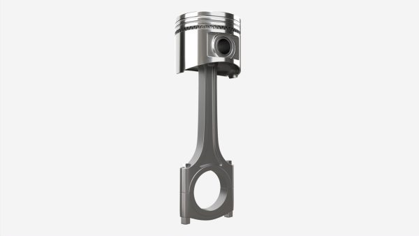 Piston with rod