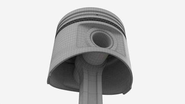 Piston with rod