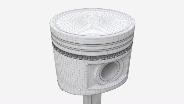 Piston with rod