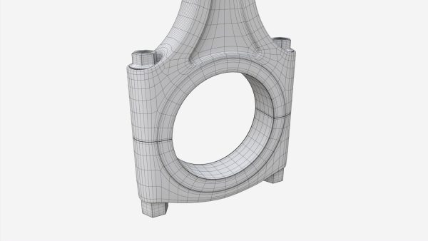 Piston with rod