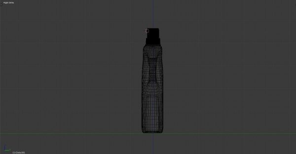 plastic bottle model