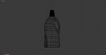 plastic bottle model