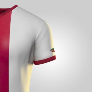 player-t-shirt-3d-model-low-poly-obj-c4d-ztl