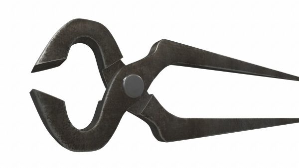 Pliers ticks colect