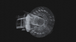 Point Cloud Animation