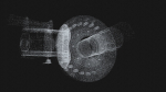 Point Cloud Animation