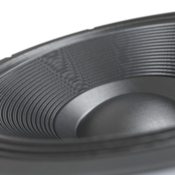 Powerful speaker 18TBX100