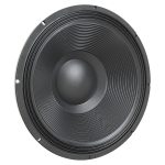 Powerful speaker 18TBX100