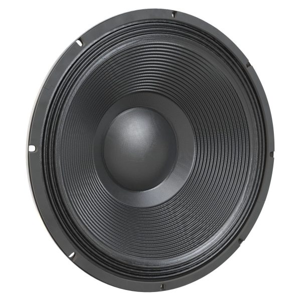 Powerful speaker 18TBX100