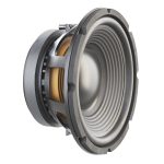 Powerful subwoofer Ciare 12 SW