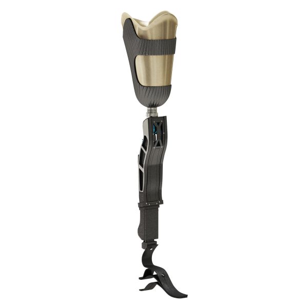 Prosthetic Leg