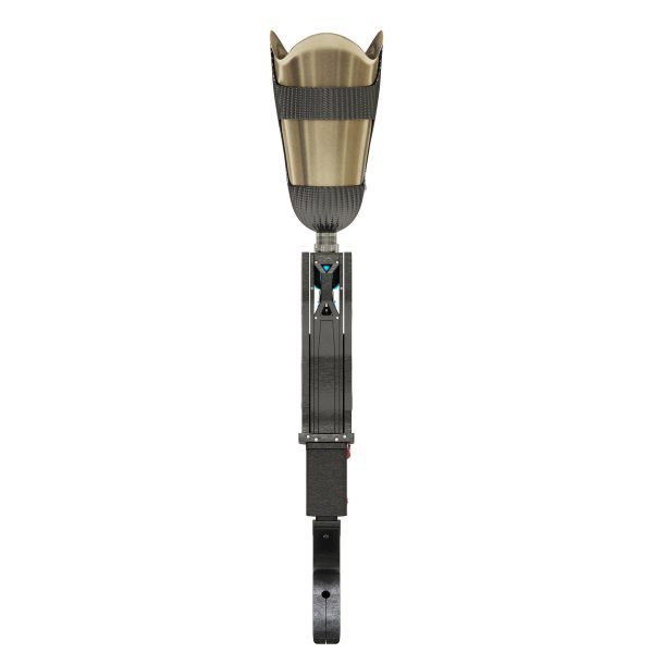 Prosthetic Leg