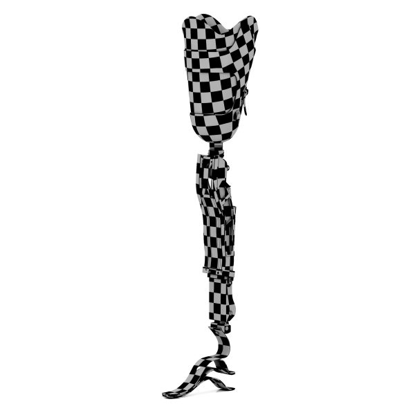 Prosthetic Leg