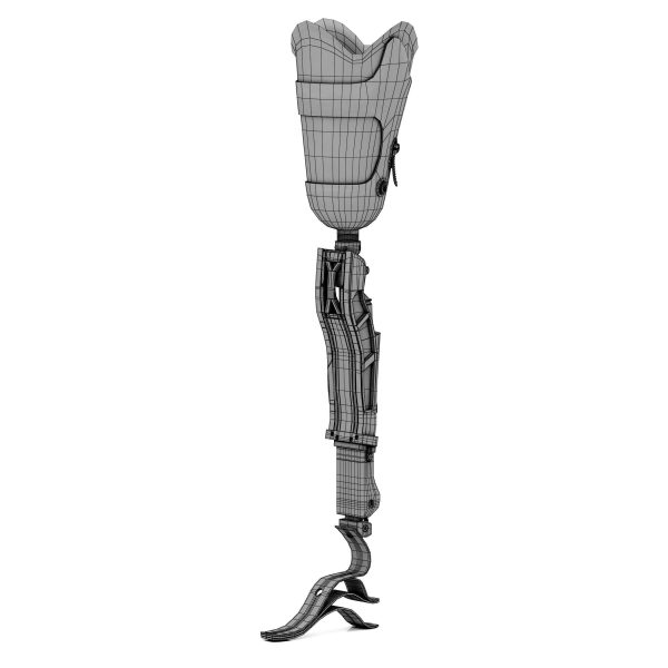 Prosthetic Leg