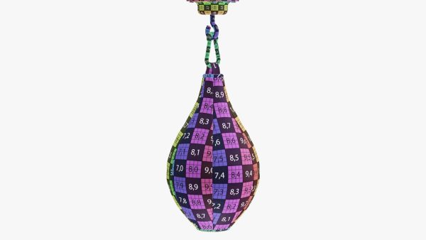 Punch bag bpeedball