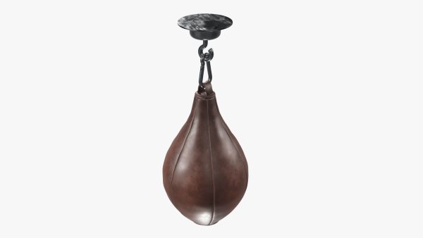 Punch bag bpeedball