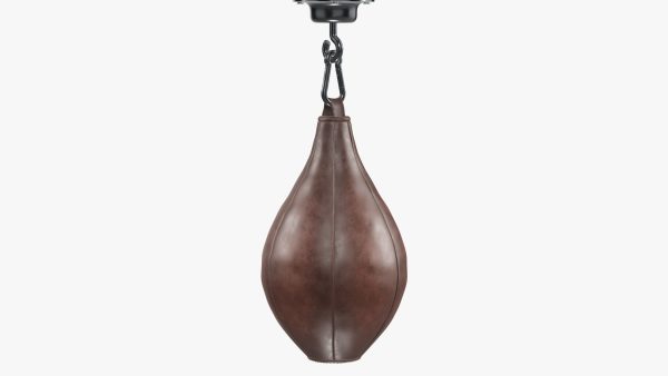 Punch bag bpeedball