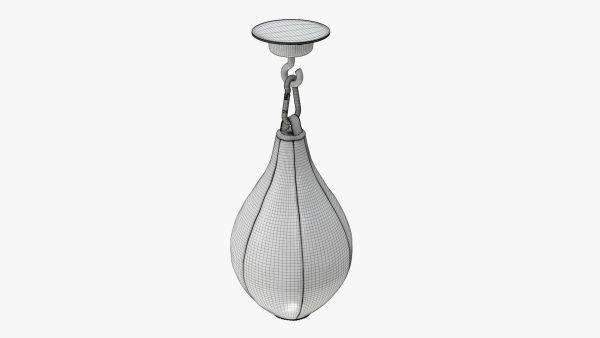 Punch bag bpeedball