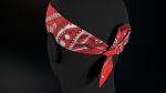 Red Paisley Bandana