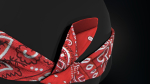 Red Paisley Bandana
