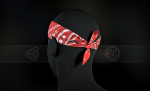 Red Paisley Bandana