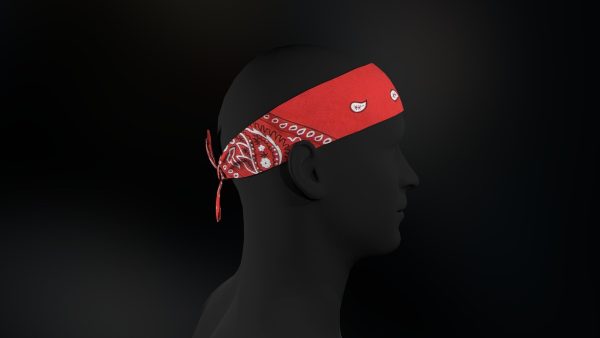 Red Paisley Bandana