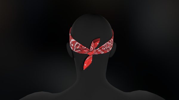 Red Paisley Bandana